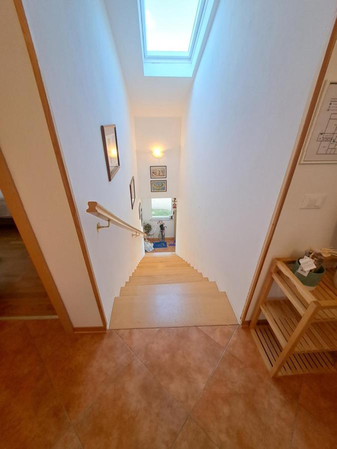 Apartament Casa Antonio With Swimming Pool Novigrad  Zewnętrze zdjęcie