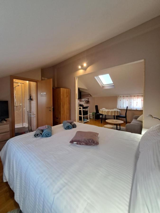 Apartament Casa Antonio With Swimming Pool Novigrad  Zewnętrze zdjęcie