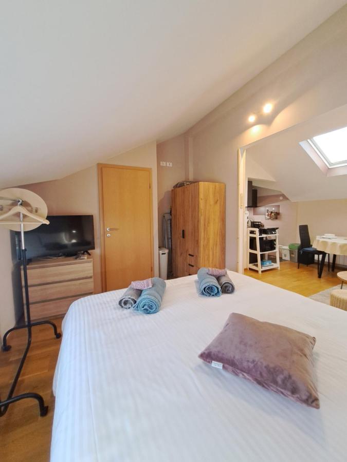Apartament Casa Antonio With Swimming Pool Novigrad  Zewnętrze zdjęcie