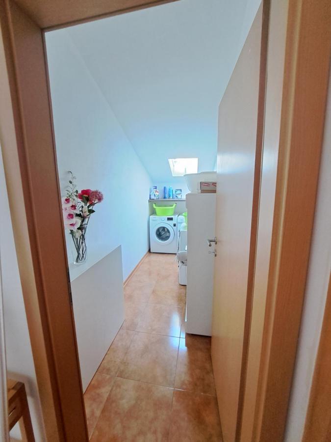 Apartament Casa Antonio With Swimming Pool Novigrad  Zewnętrze zdjęcie